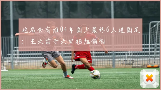 这届会有谁04年国少最终6人进国足：王大雷于大宝杨旭领衔